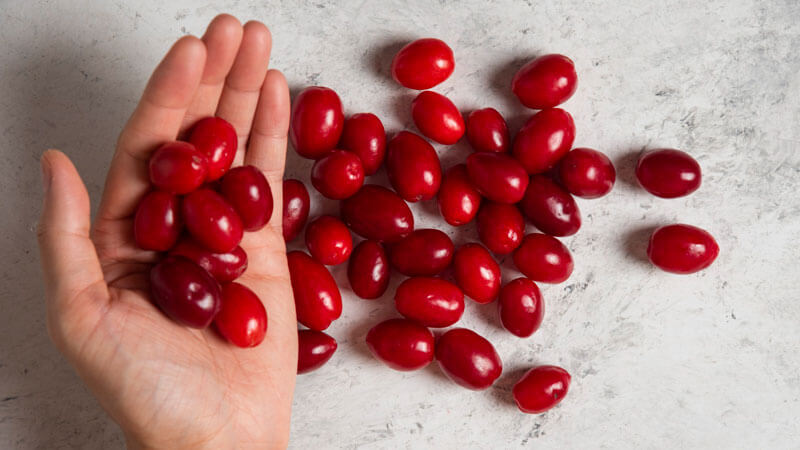 2025 最新蔓越莓推薦