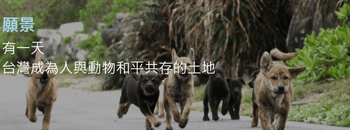S.Y.Shop 團法人台灣之心愛護動物協會